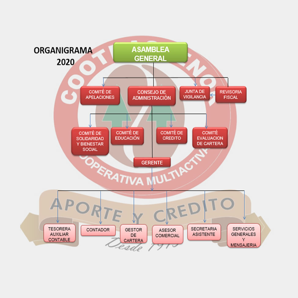 Organigrama Cootrasfenor Cooperativa Multiactiva